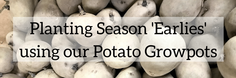 Using the Potato Growpot to plant season 'Earlies'